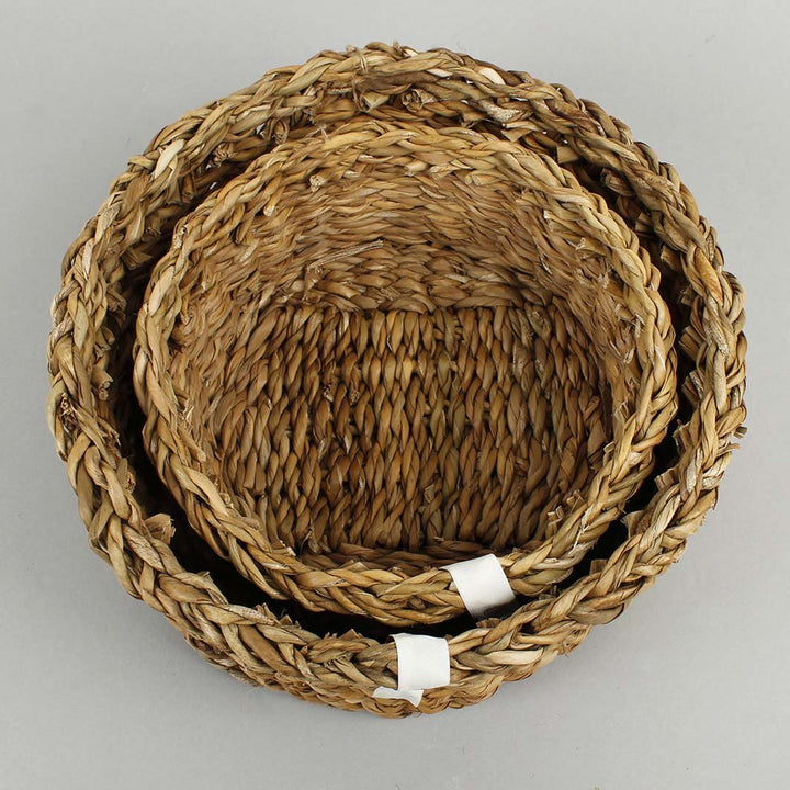 Woven Seagrass Basket - Small - Green Tulip